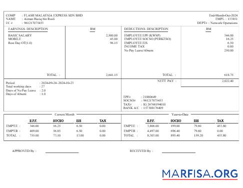 Downloadable Flash Malaysia Express delivery services earnings sample